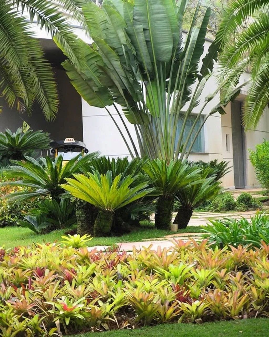Jardinagem e paisagismo  - Foto 2