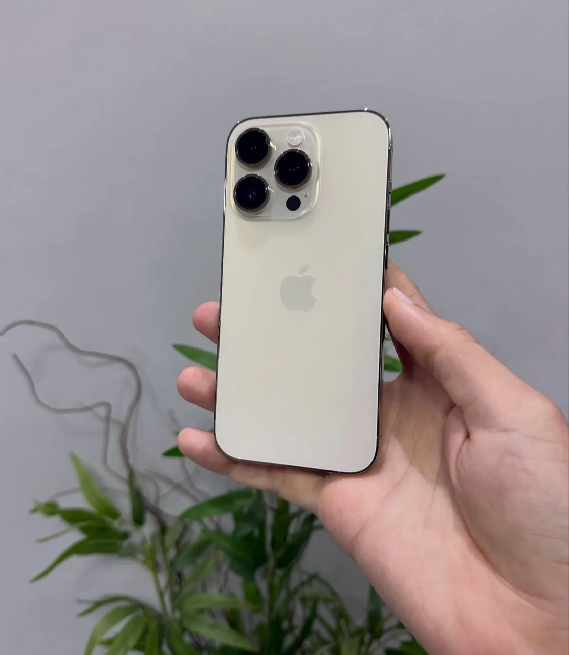 IPhone 14 Pro Gold 128GB (Nota e 3 meses de garantia) - Celulares