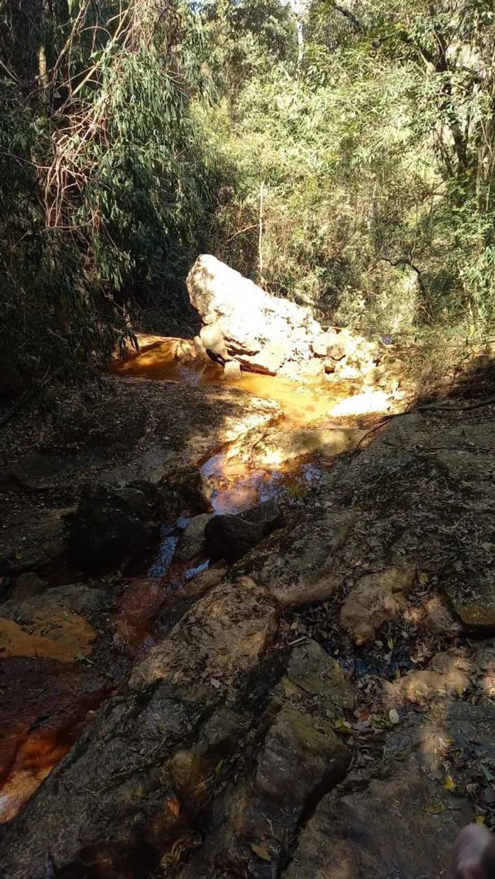 TERRENO PARA CHÁCARA DE 1 MIL M²   - Foto 5