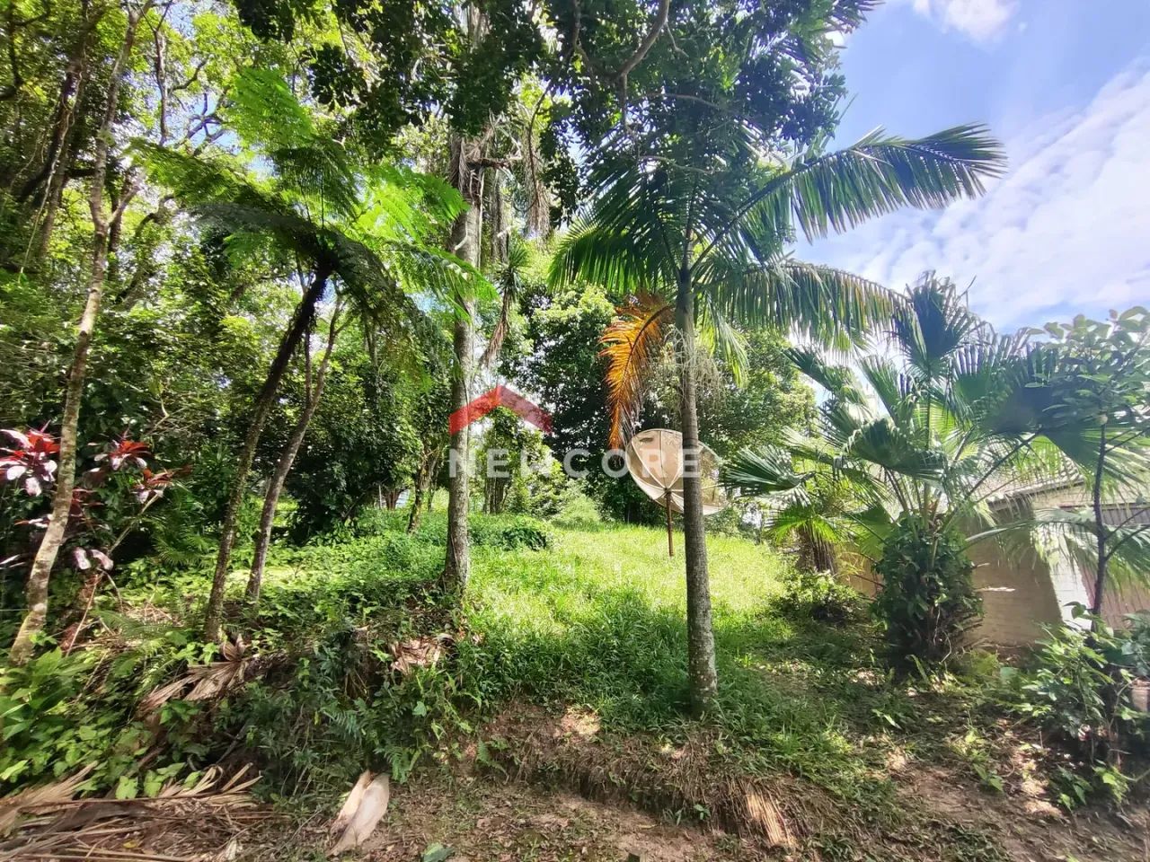 Lote em Rua Antônio Dal Farra - Vila São Jorge - Siderópolis/SC - Foto 4