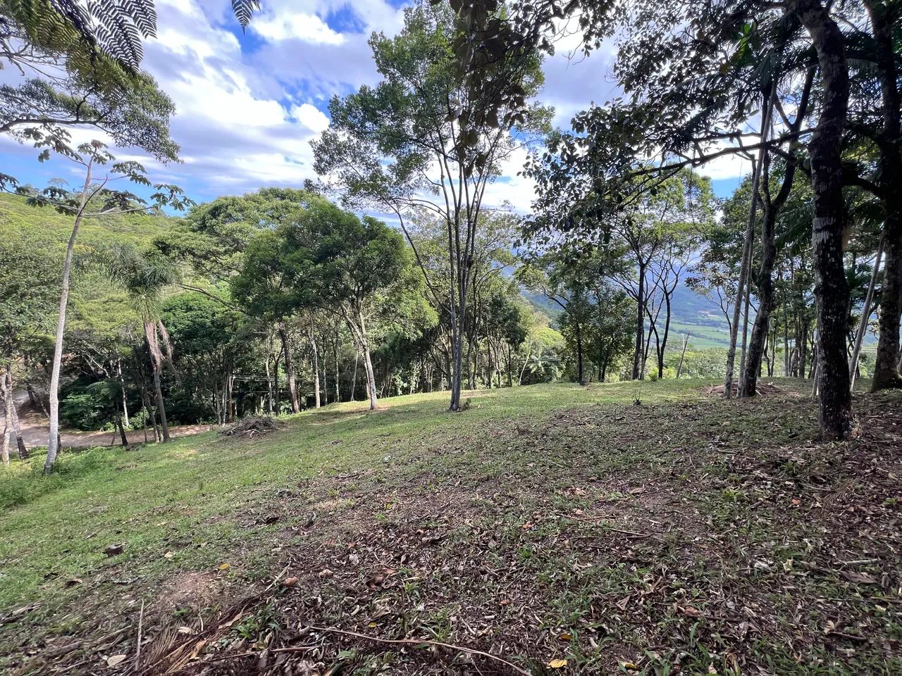 Foto - Santo Amaro da Imperatriz - 