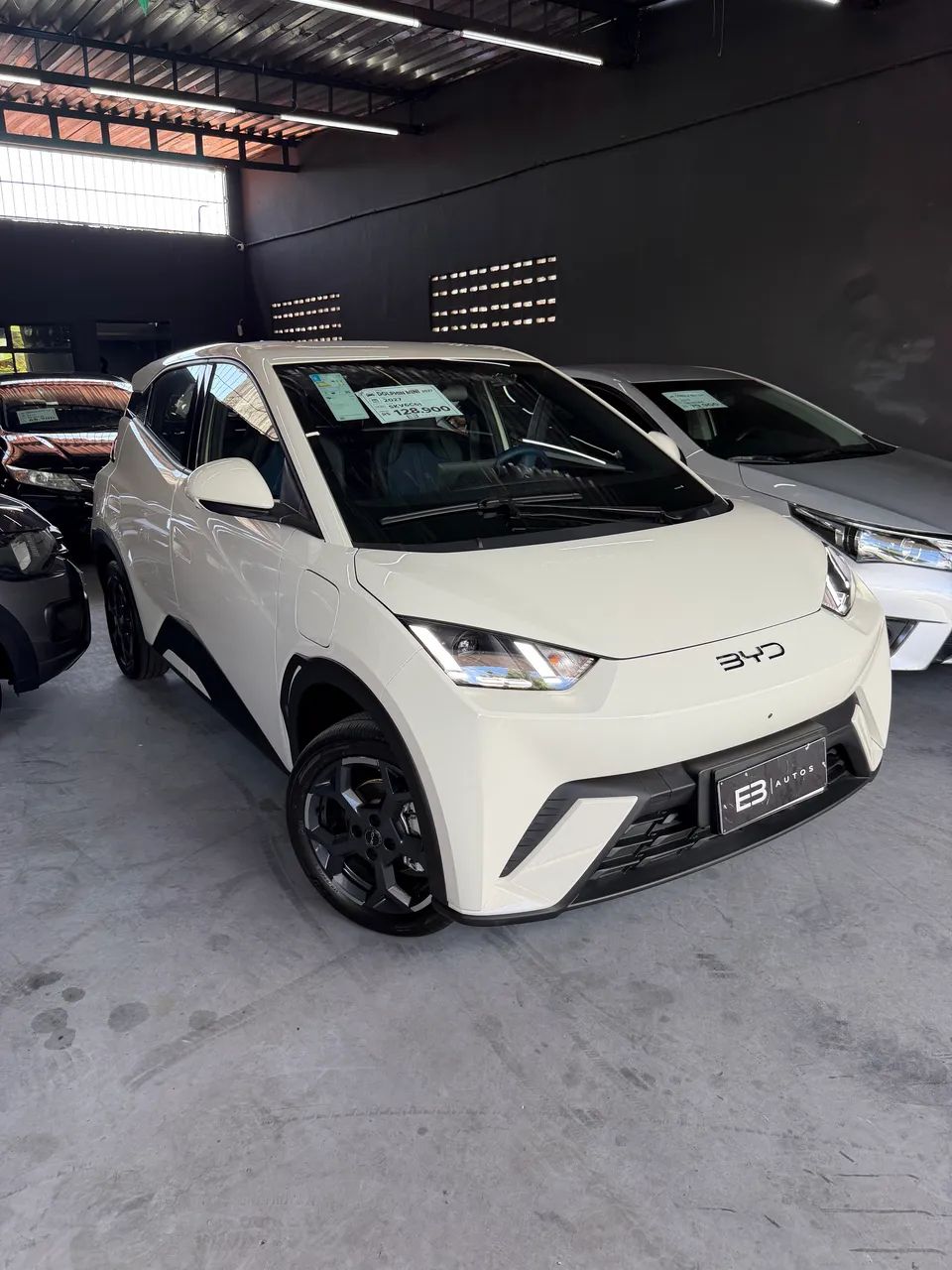 BYD Dolphin Mini (Elétrico) 2027 - Foto 4