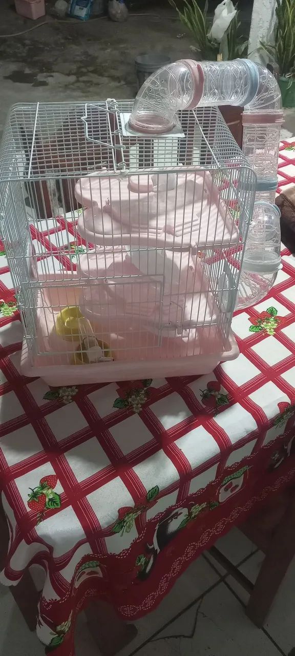 Casa para hamster 