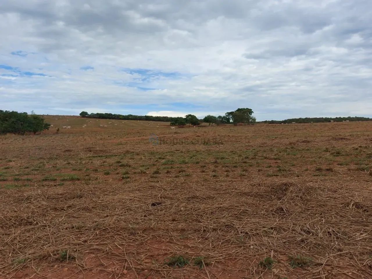 FAZENDA À VENDA  ITIQUIRA/MT DUPLA APTIDÃO - Foto 5