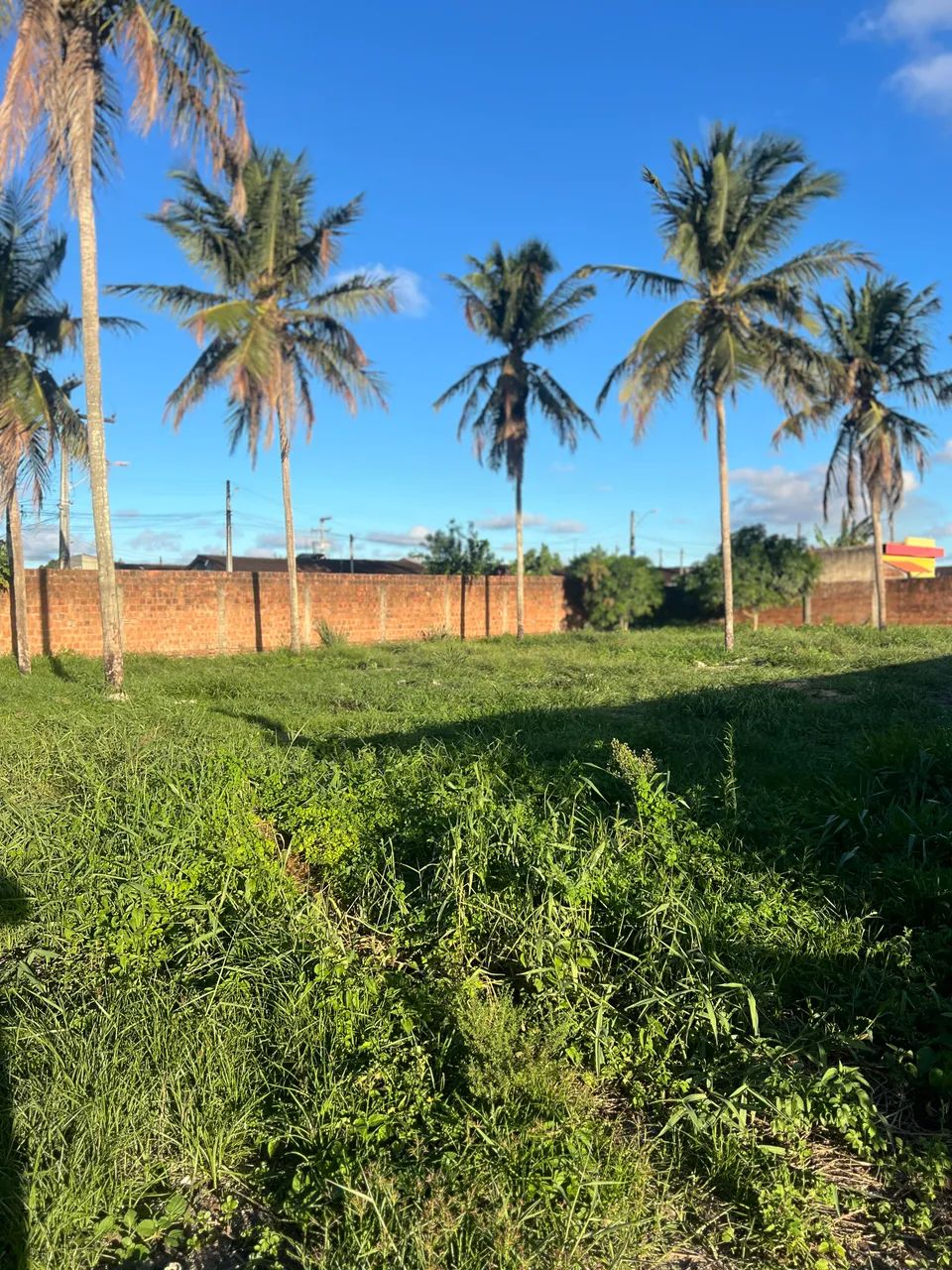 Excelente Área na principal da BR 104 - Rio Largo - AL - Foto 2