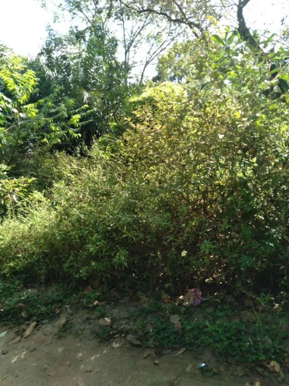 TERRENO PRÓXIMO PRAIA DO FORTE 