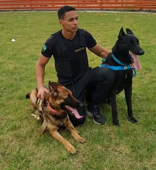 Adestrador  - Foto 4