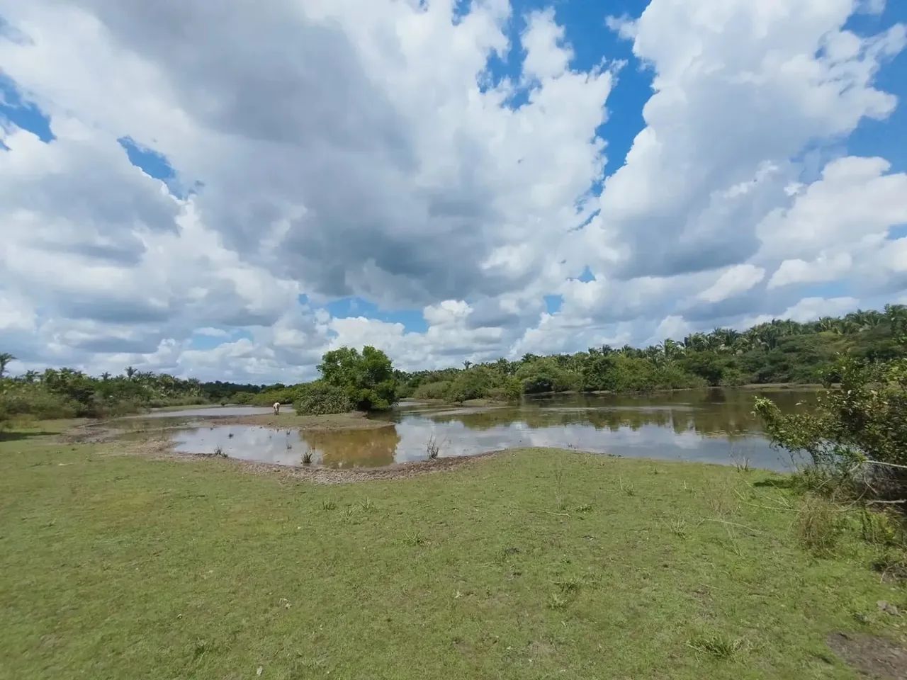 FAZENDA: Fazenda de 310 hectares a venda na beira do rio em Chapadinha-MA