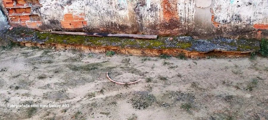 TERRENO,0 Dormitorio(s) bairro Laranjeiras - Foto 2