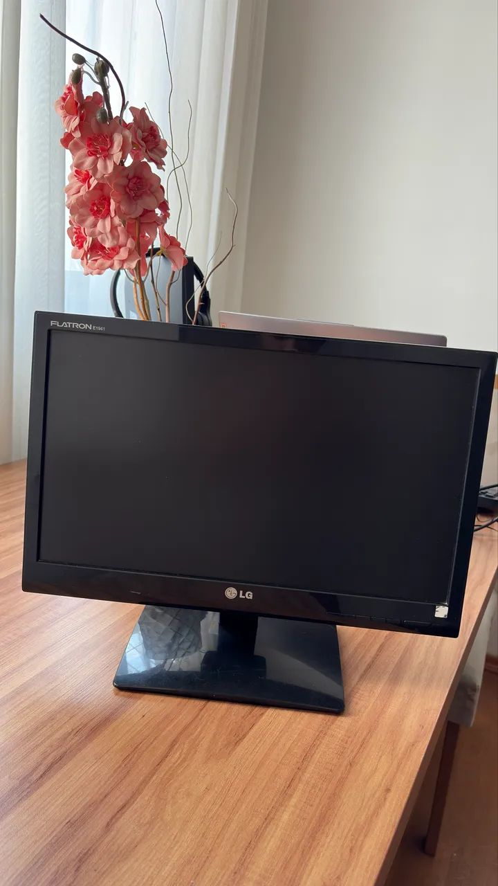 Monitor LG Flatron E1941C 18,5? LED LCD Wide VGA - Funcionando Perfeitamente