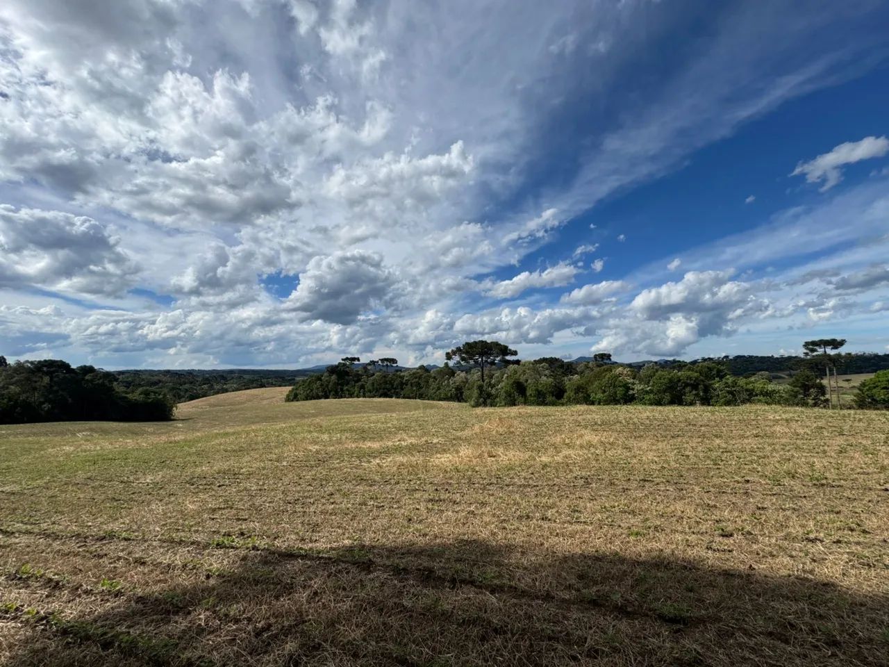 Terreno, otimo, muito bem localizado e apto para qualquer tipo de negócio  - Foto 4