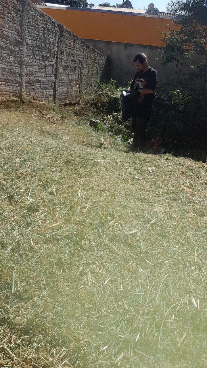 Faço serviços de jardim - Foto 2