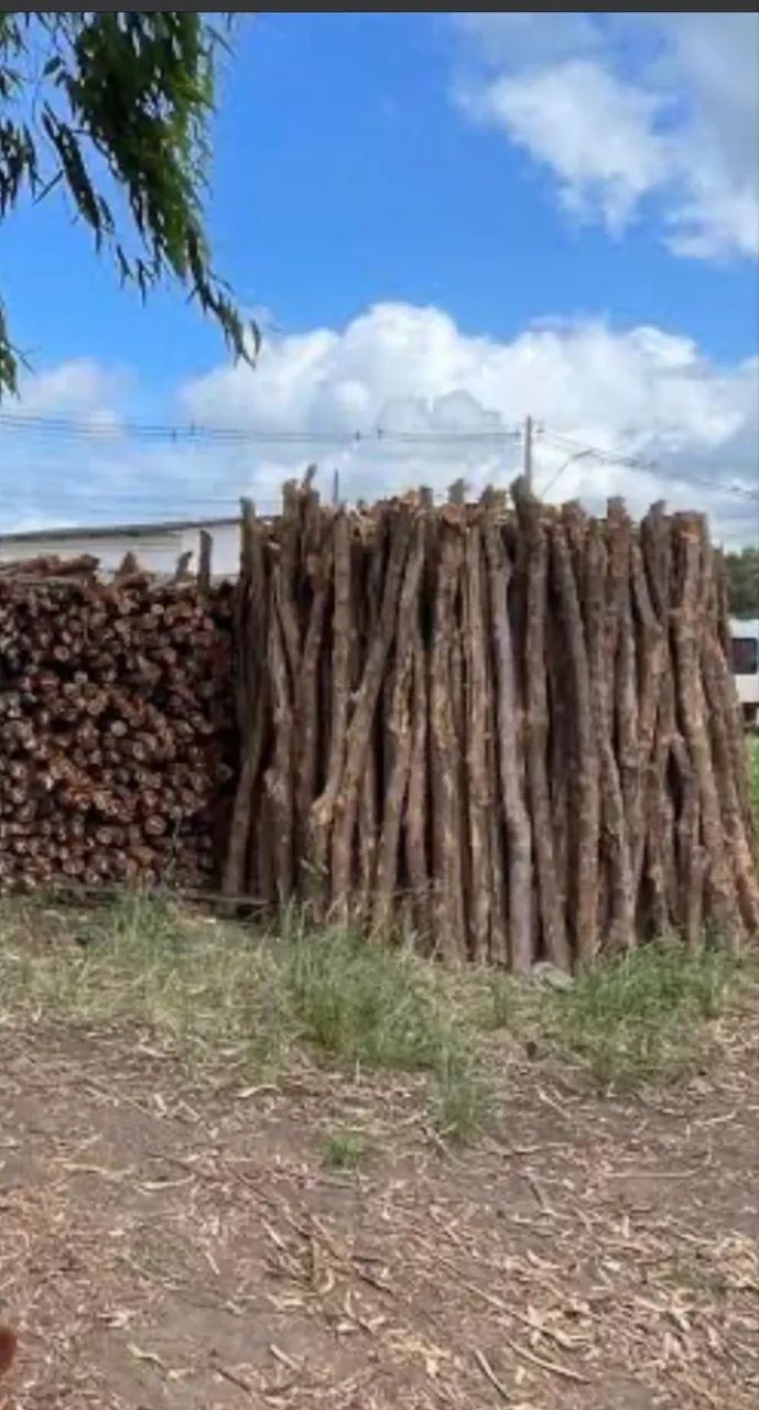 Estaca do sabiá
