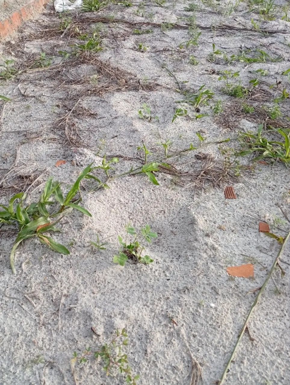 Terreno na barra 300 m2 - Foto 5