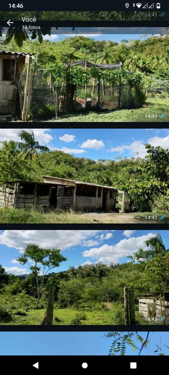 Sitio a venda 7 alqueires  - Foto 4