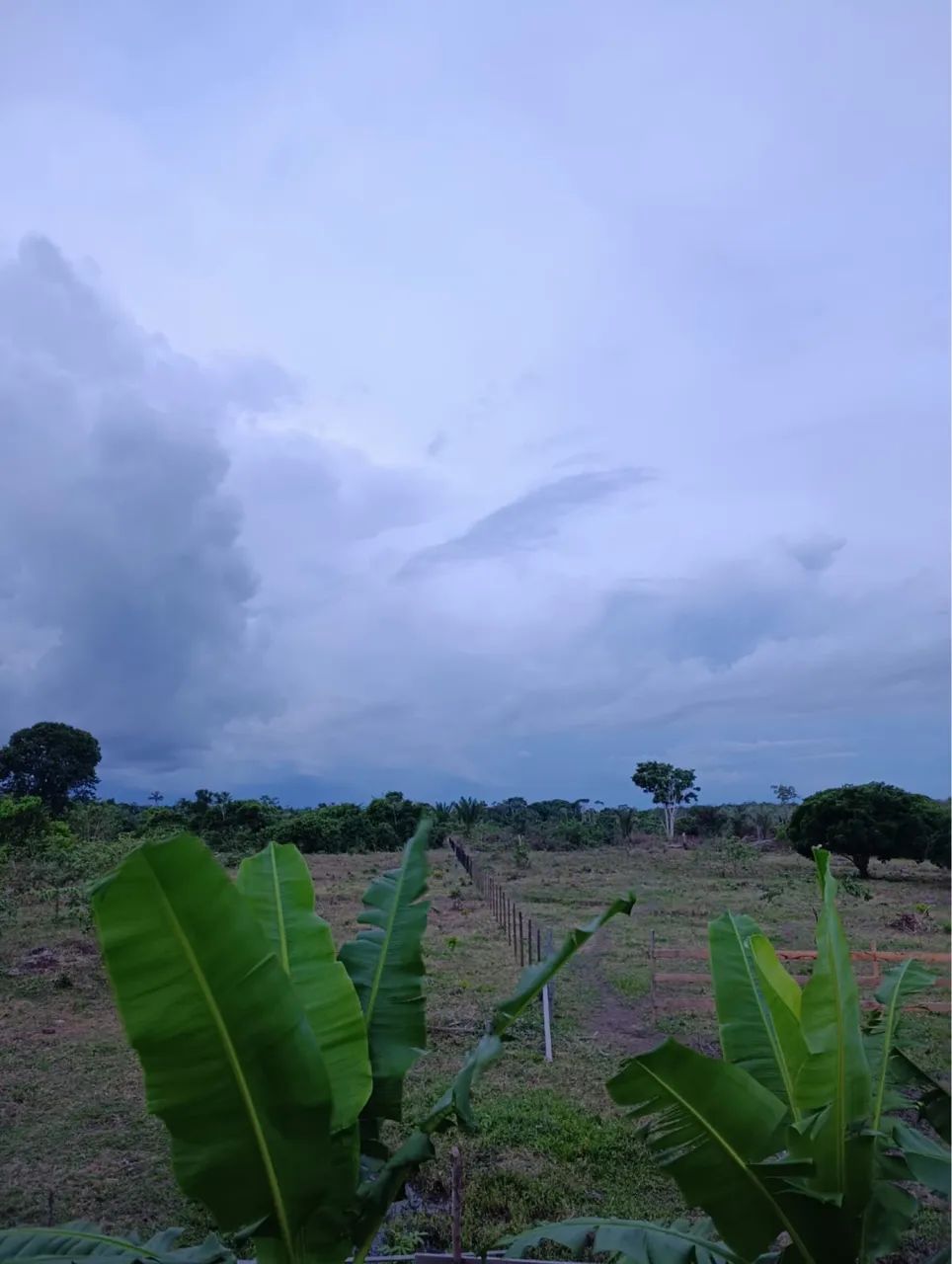 Verde se uma fazenda  - Foto 3