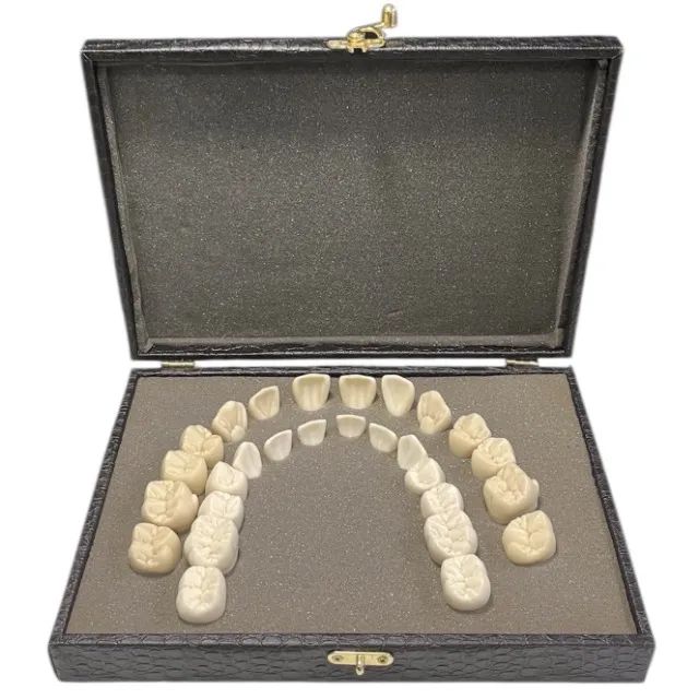 Estojo com Dentes Macromodelos Semi Novo