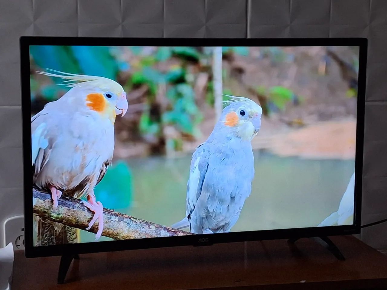 TV 43 polegadas