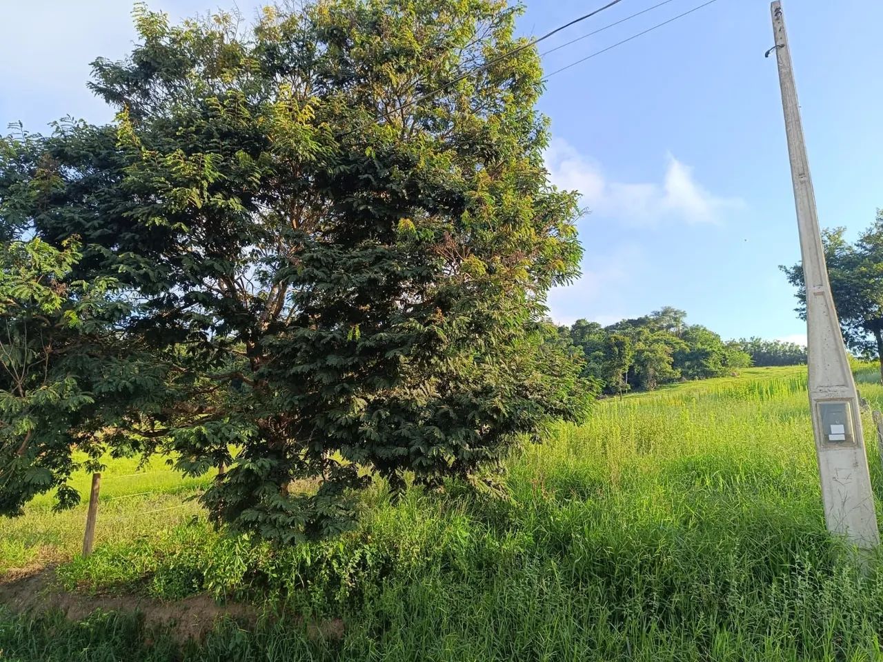 Terreno em Paraibuna - Foto 4