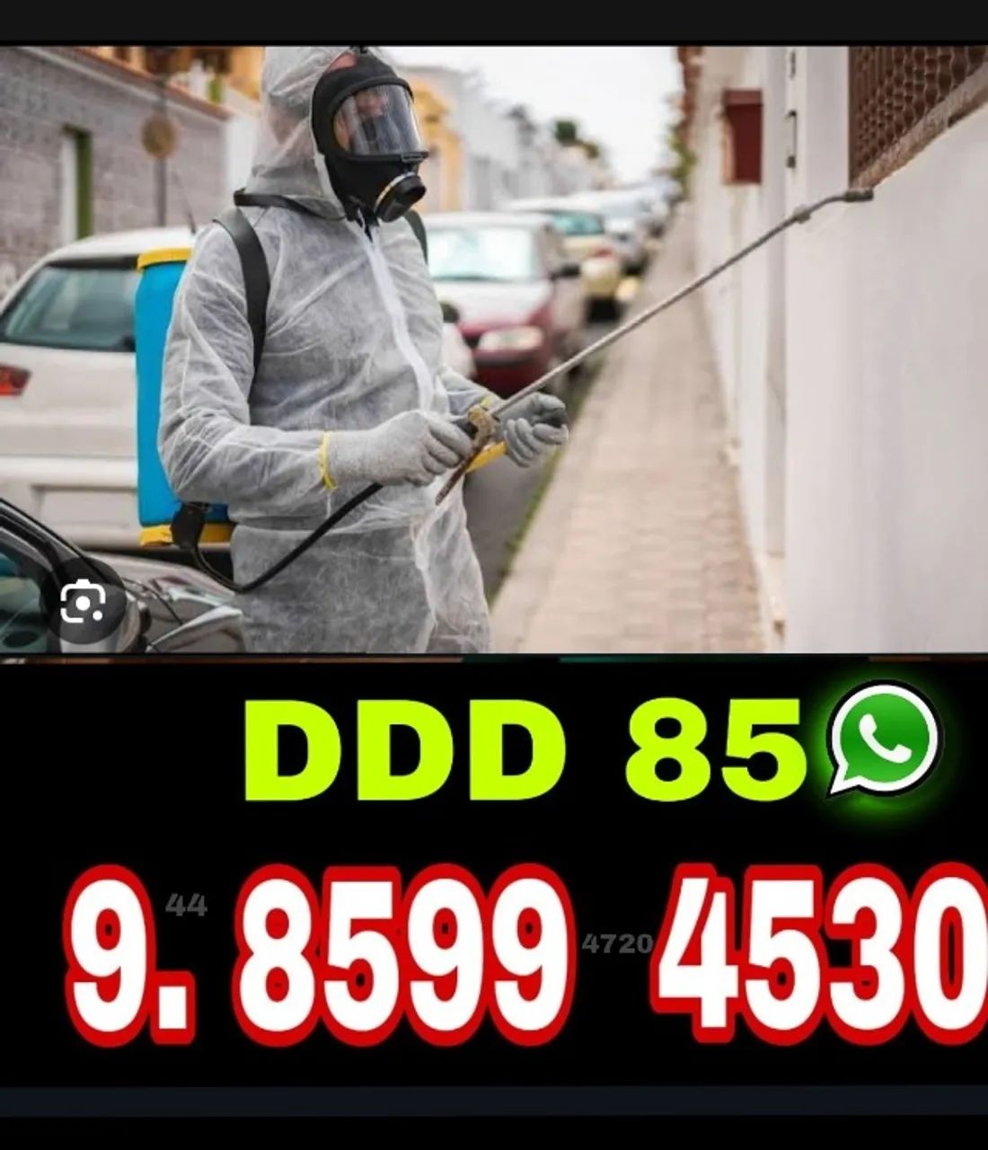 Dedetização, Dedetizadora - Controle total de Pragas 