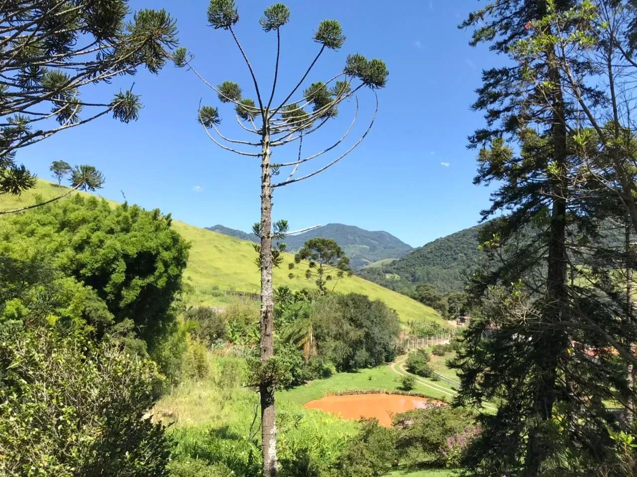 Sítio com 21ha em Sapucaí Mirim - MG - Foto 2