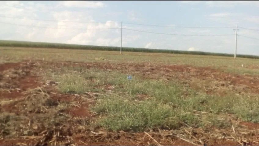 OPORTUNIDADE CHACARA EM ALVORADA DO SUL