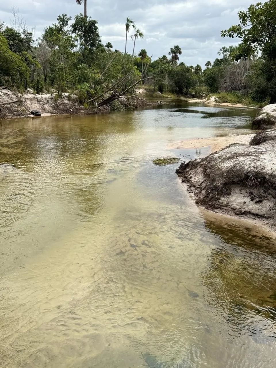 LOTE REGIÃO DE ALTO ALEGRE RIO AU AU. - Foto 2