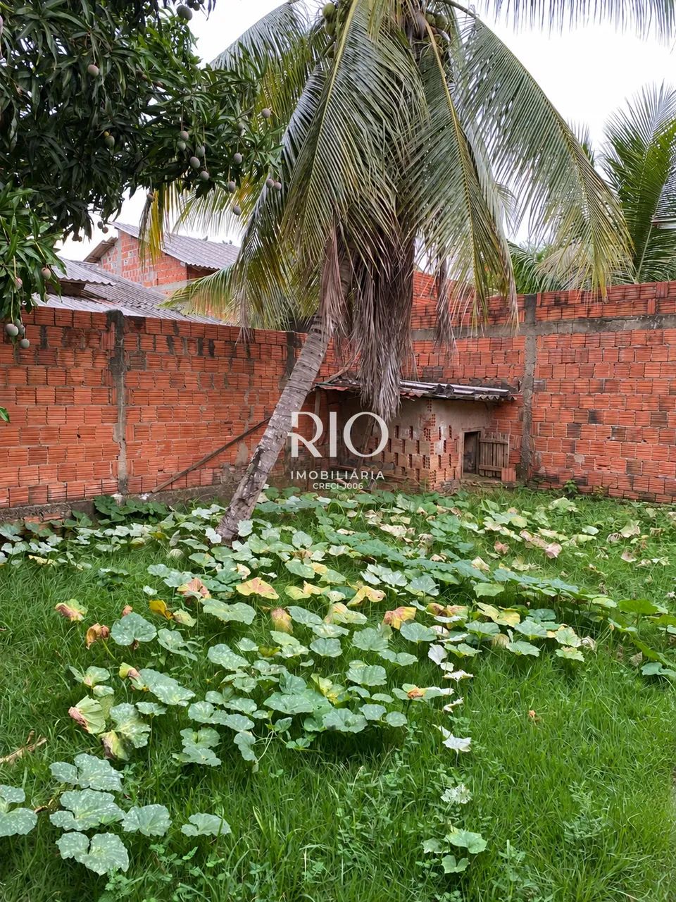 Casa com 3 quartos e energia solar! - Foto 3