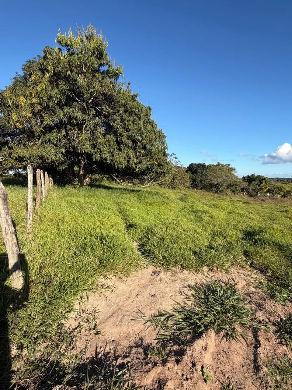 Terreno de chácaras pra vender . - Foto 3