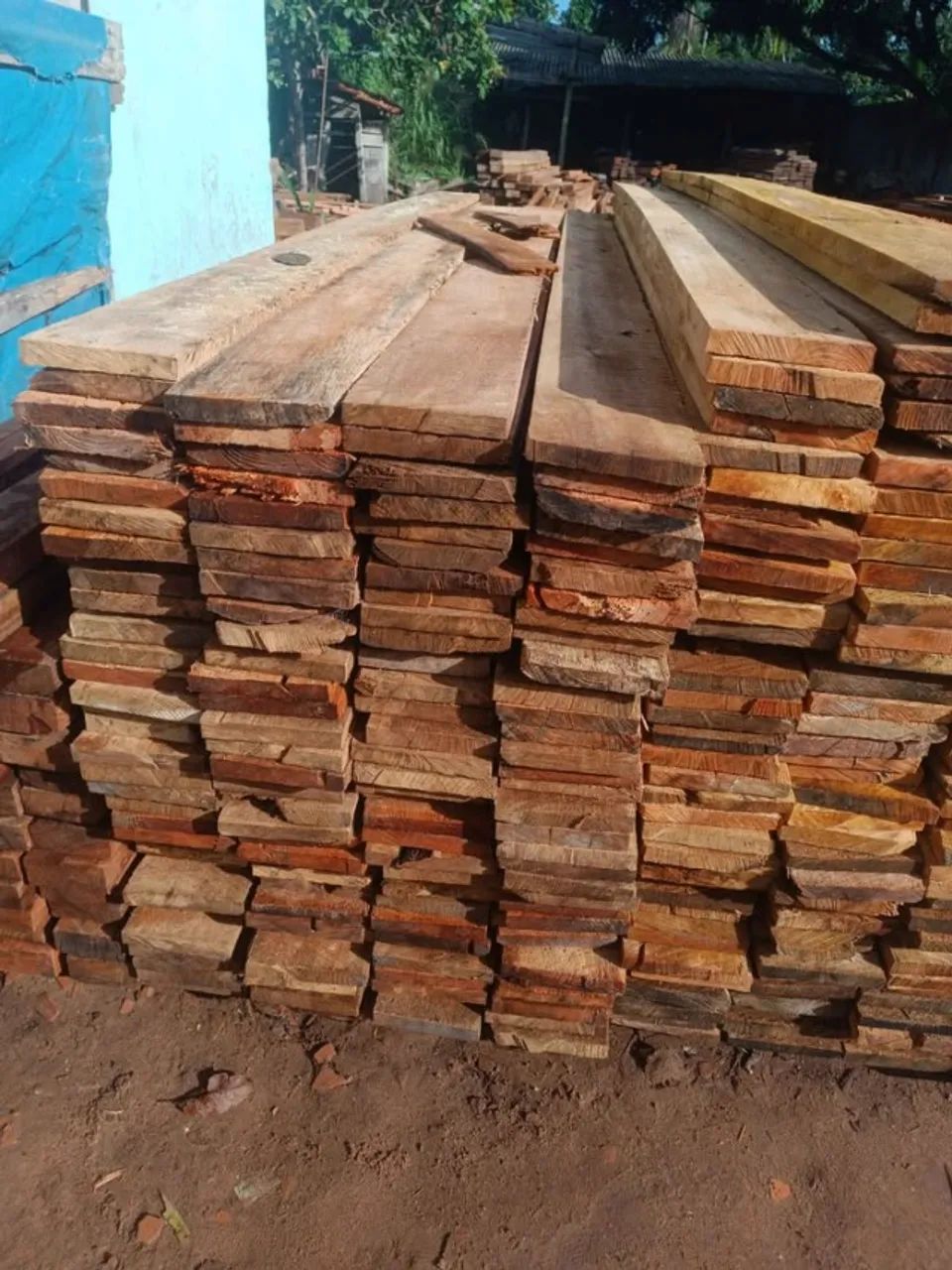 Madeira Resistente pra Construir