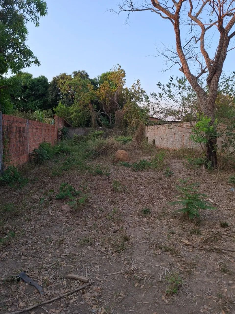 Terreno 10 X 30 - Foto 2