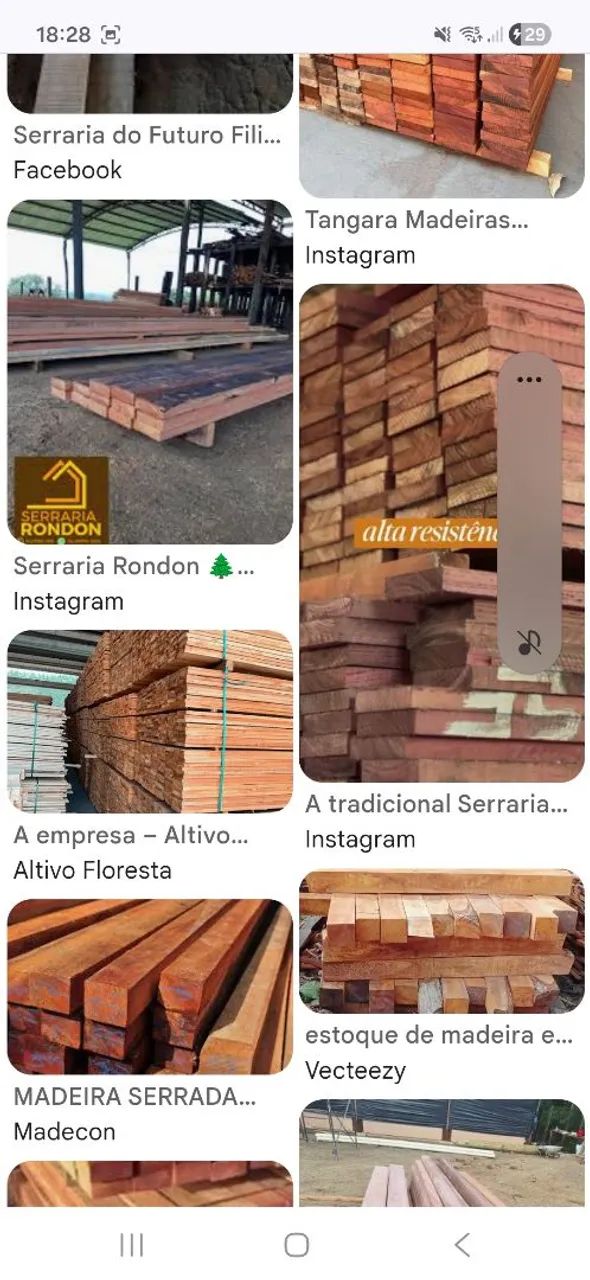 Madeiras  - Foto 5