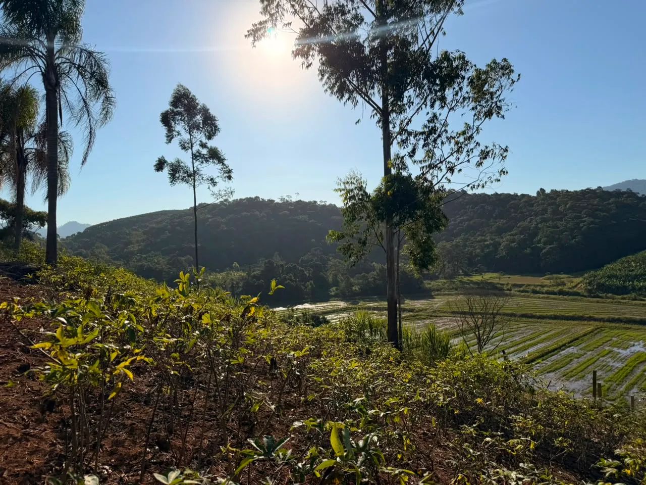 Sítio | Venda | Rio do Peixe - Foto 3