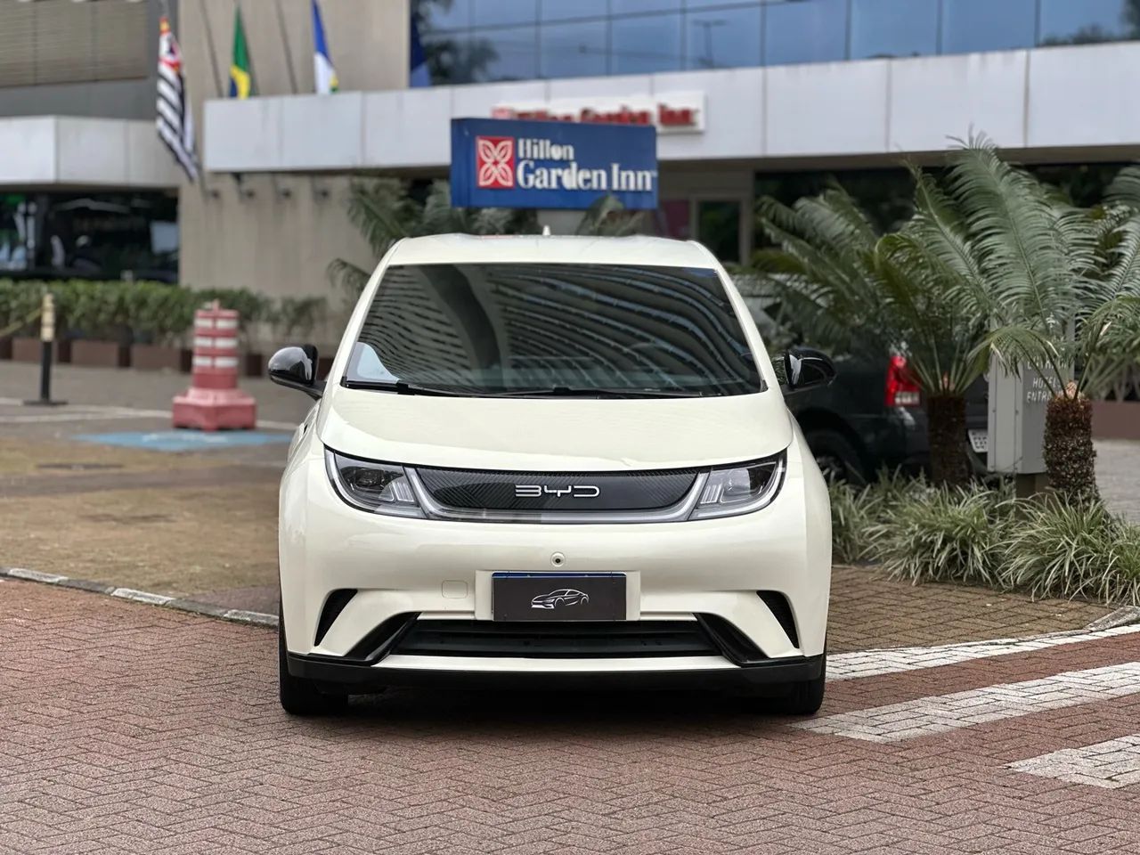BYD Dolphin EV (Elétrico) 2024 - Foto 2