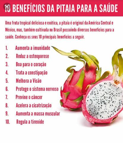 Mudas de Pitaya - Foto 4