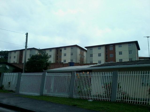 Terreno com casa Campina da Barra Araucária - Foto 3
