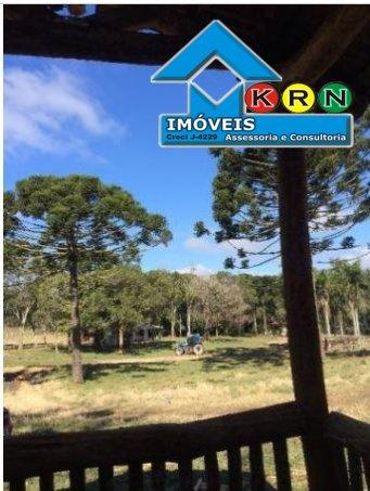 Fazenda - Fazenda a Venda no bairro Área Rural de Ponta Grossa - Ponta Grossa, P... - Foto 11