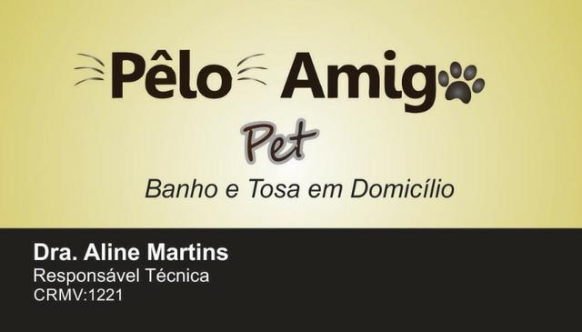 Banho e tosa pet