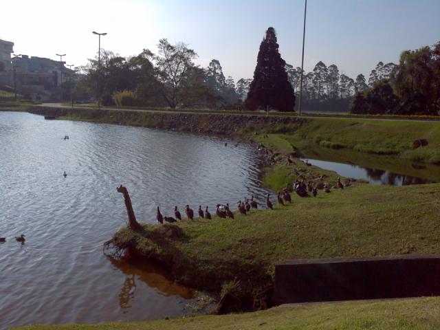 Casa de condomínio à venda com 4 dormitórios cod:1030-14361 - Foto 3