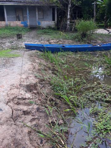 Terreno e fazenda - Foto 2