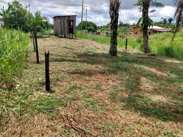 Venda - Foto 5