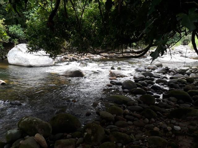 Caetano Imóveis - Terreno escriturado com 4.255m² (possui cachoeira privada dentro) - Foto 4