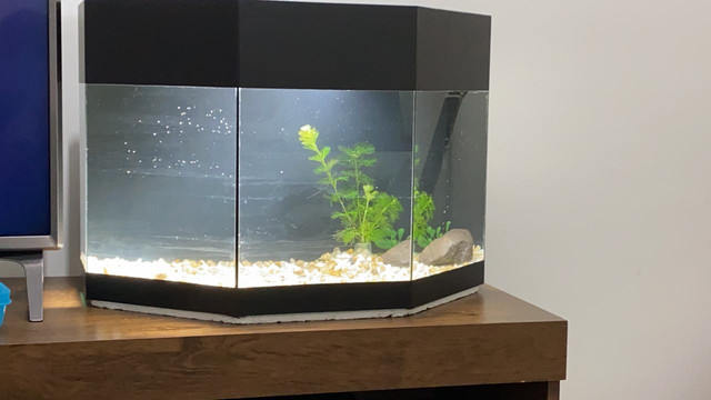 Aquário 46L - Foto 6