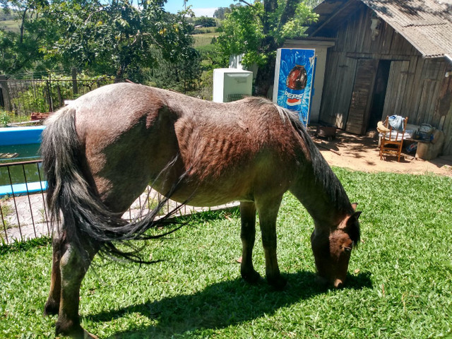 Venda - Foto 4