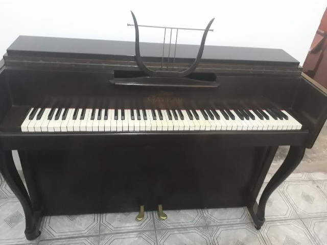 ShowRoom C/ Pianos Samick -Suzuki - Yamaha - Zietter - Steinway & Outros CasaDePianos - Foto 6
