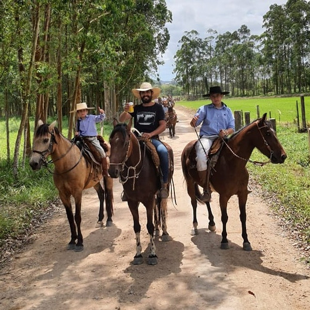 Cavalo para cavalgadas - Foto 2