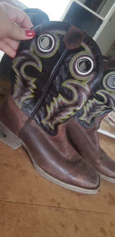 Bota