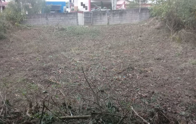 Construção - Foto 6