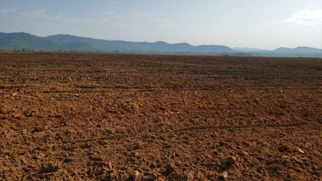 Fazenda Arrenda no Ms 608 e 522 há de Soja.e.milho 