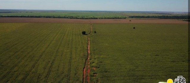 Vende se Fazenda de 6.691 Alq em Brasnort-MT  - Foto 2